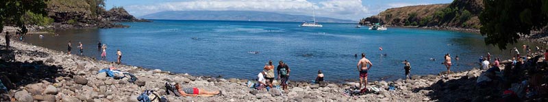 Maui's Best Snorkeling for Turtles Beaches - Honolua Bay