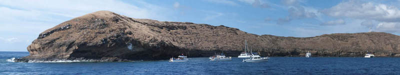 Maui's Best Snorkeling for Coral Beaches - Molokini