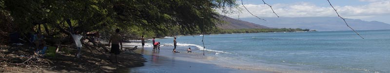 Maui's Best Snorkeling for Coral Beaches - Olowalu bay