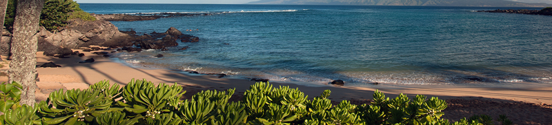 Explore Kapalua Bay Maui