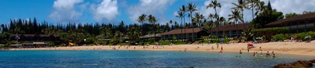 Explore Napili Bay Maui